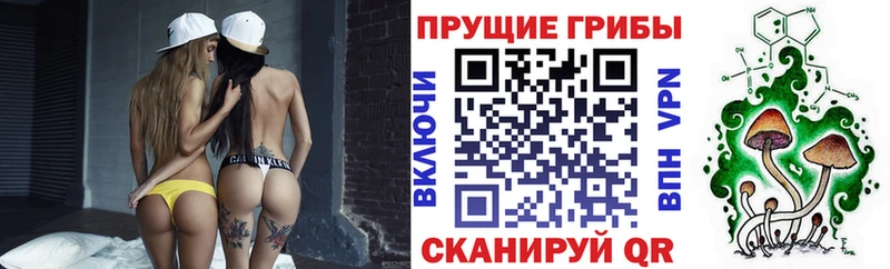 Галлюциногенные грибы Psilocybine cubensis  Петушки 